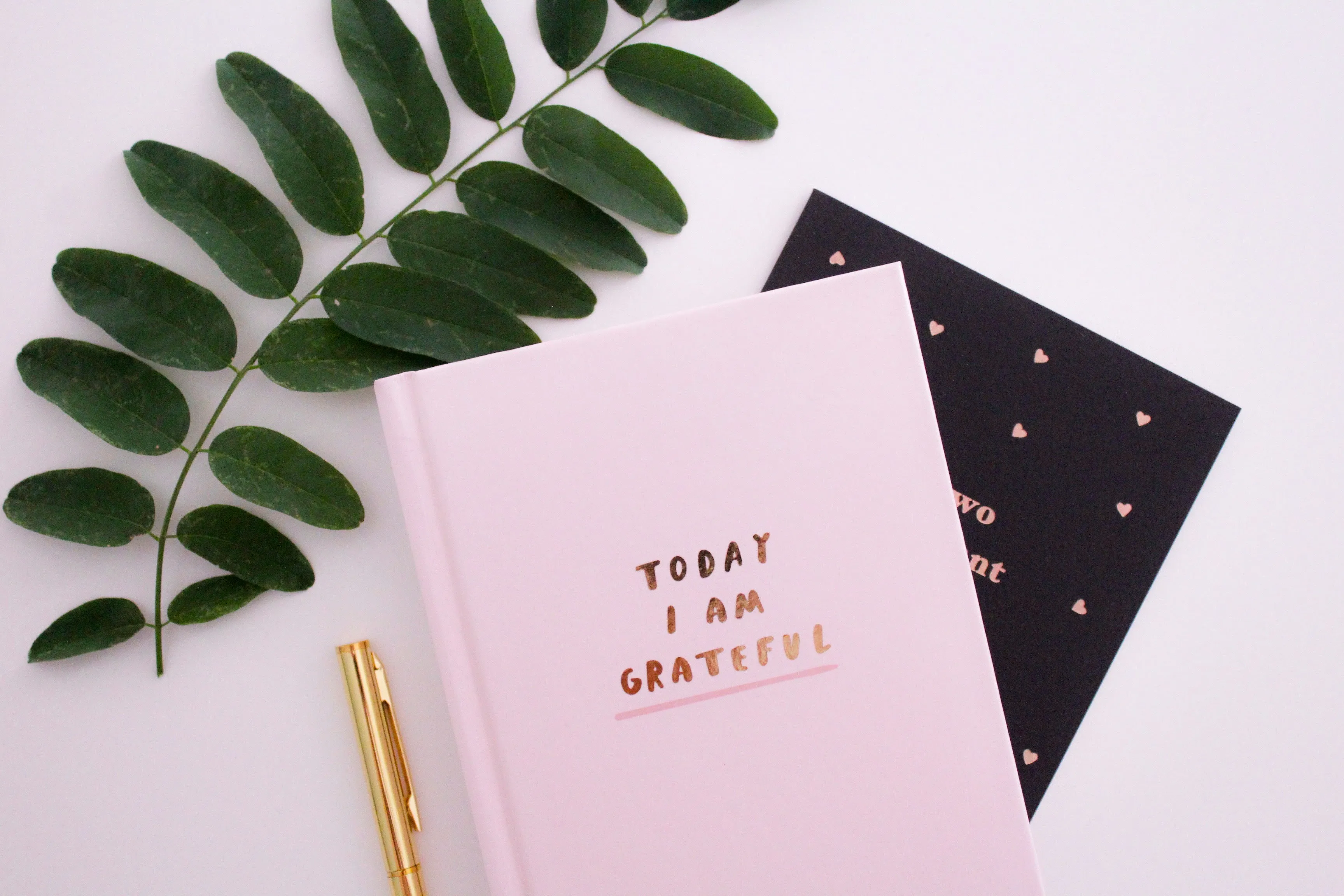Gratitude Journaling Prompts