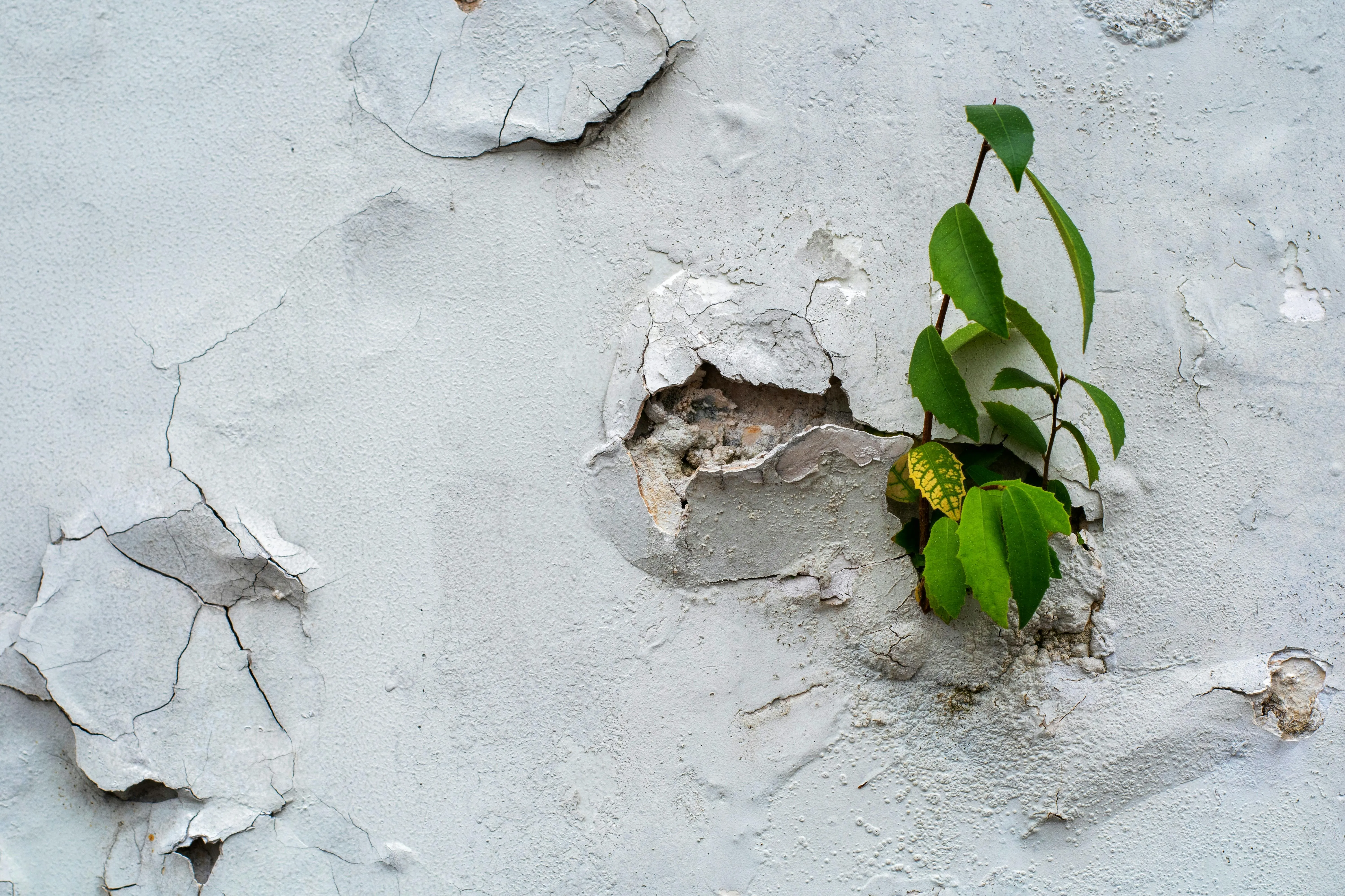 Growth Through Adversity