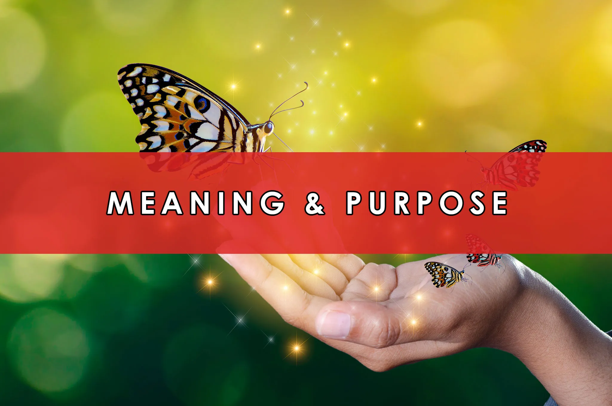 Purpose and Meaning