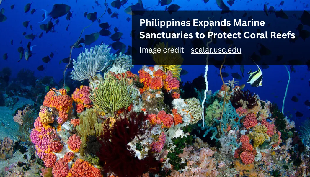 Philippines Expands Marine Sanctuaries to Protect Coral Reefs