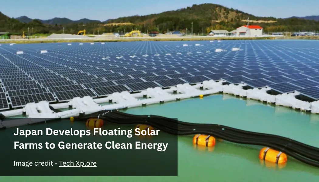 Japan Develops Floating Solar Farms to Generate Clean Energy