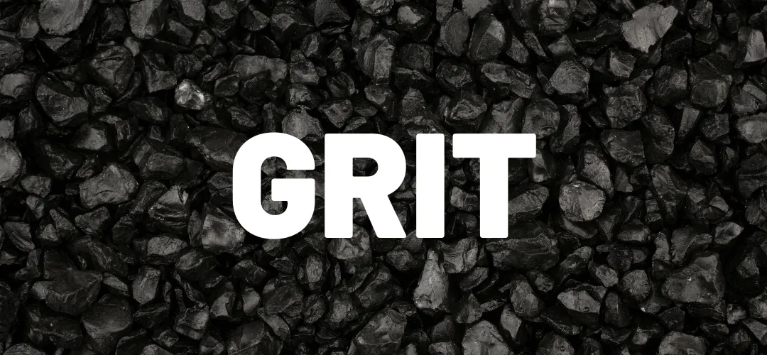 Grit | The Science of Passion & Perseverance