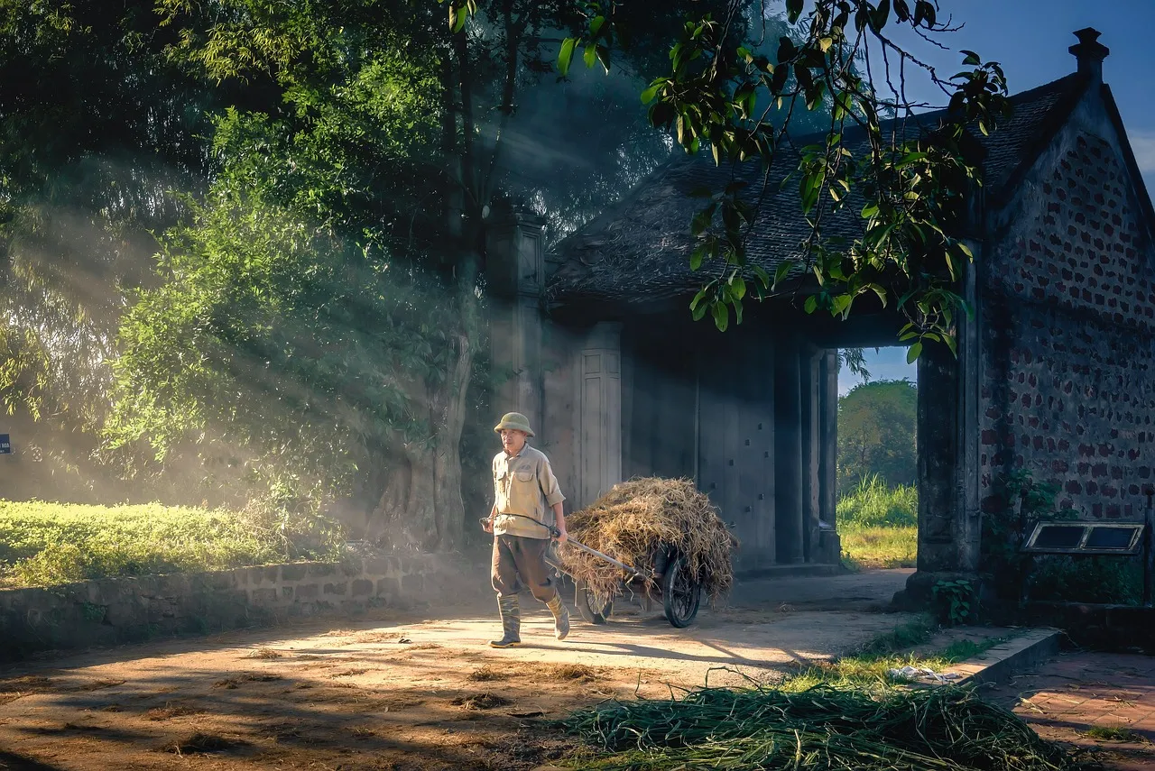 Daily Positivity Routine