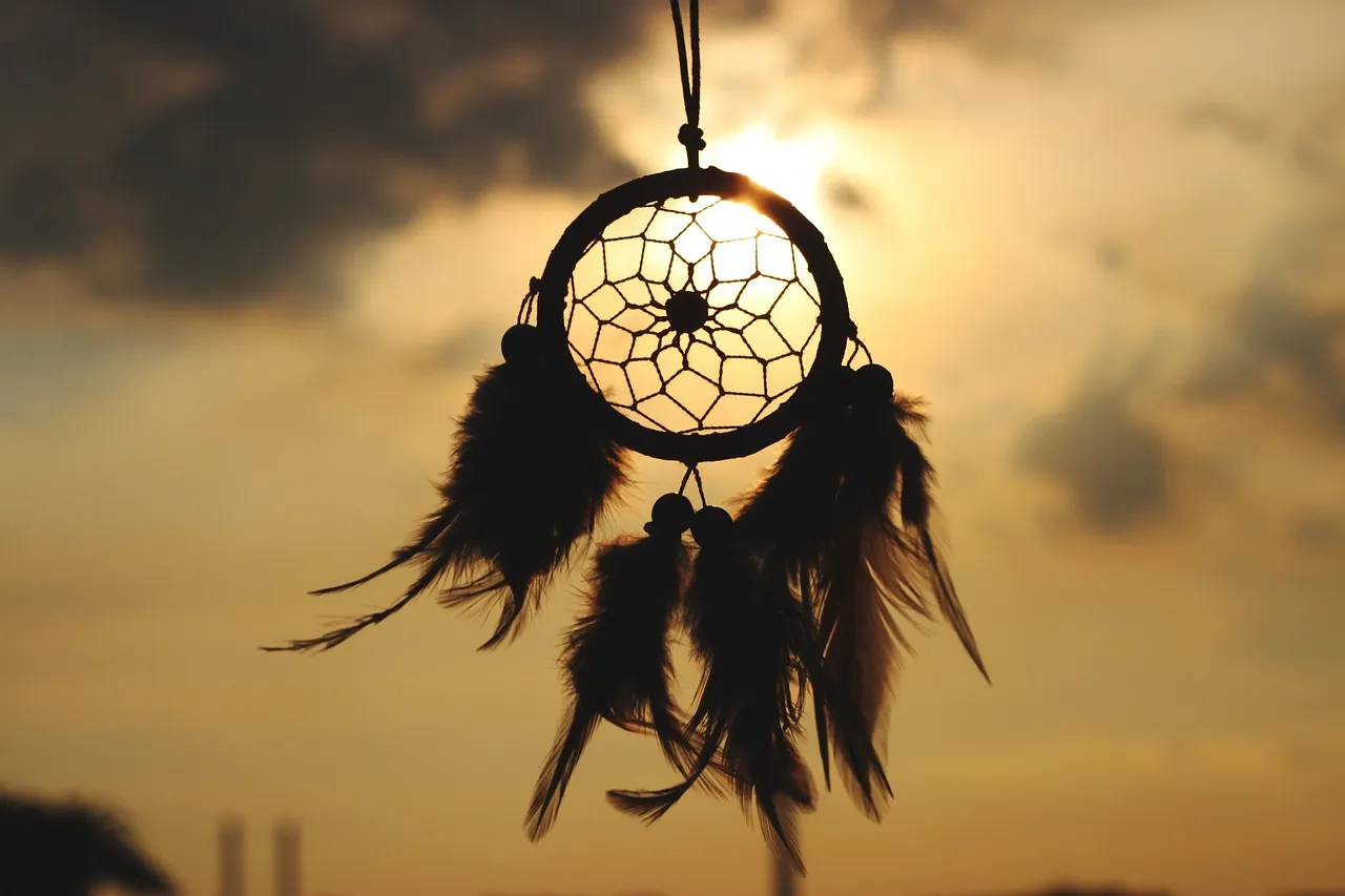 Dream Manifestation