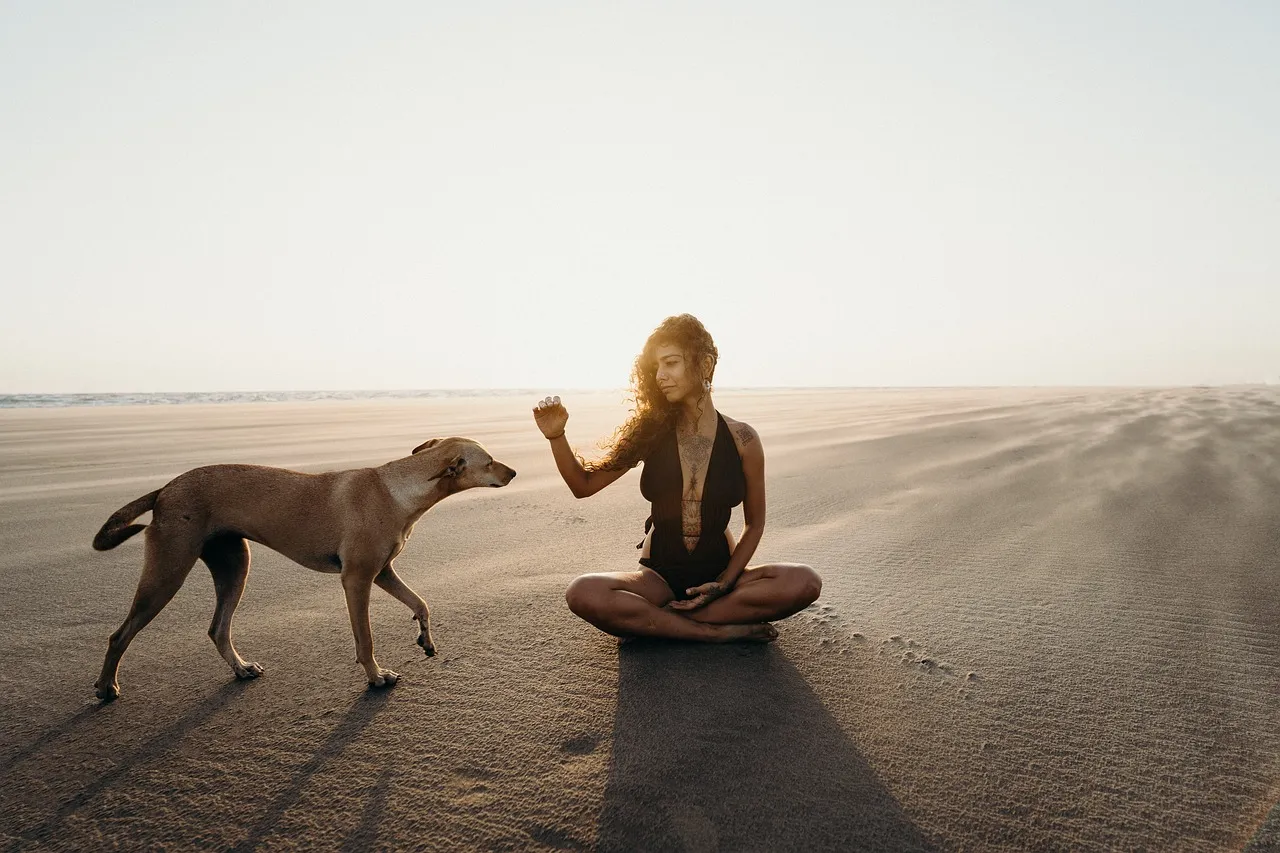 The Secret Power of Attraction