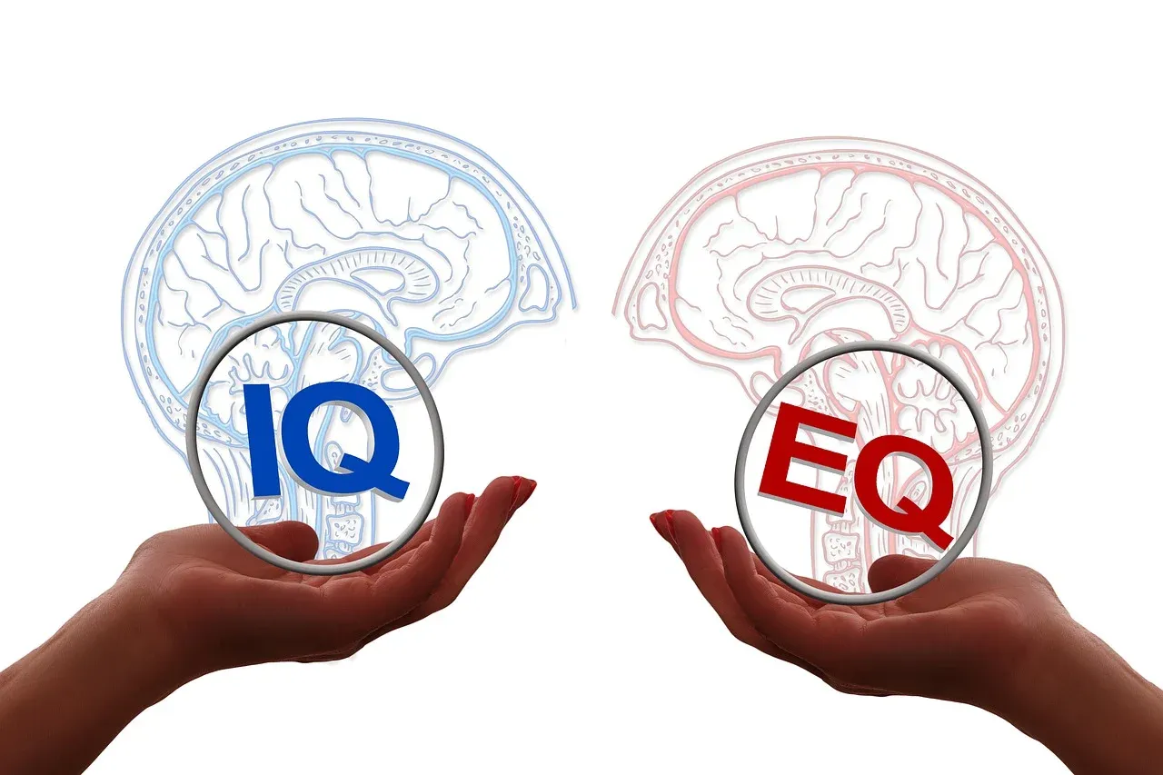 High Emotional Iq