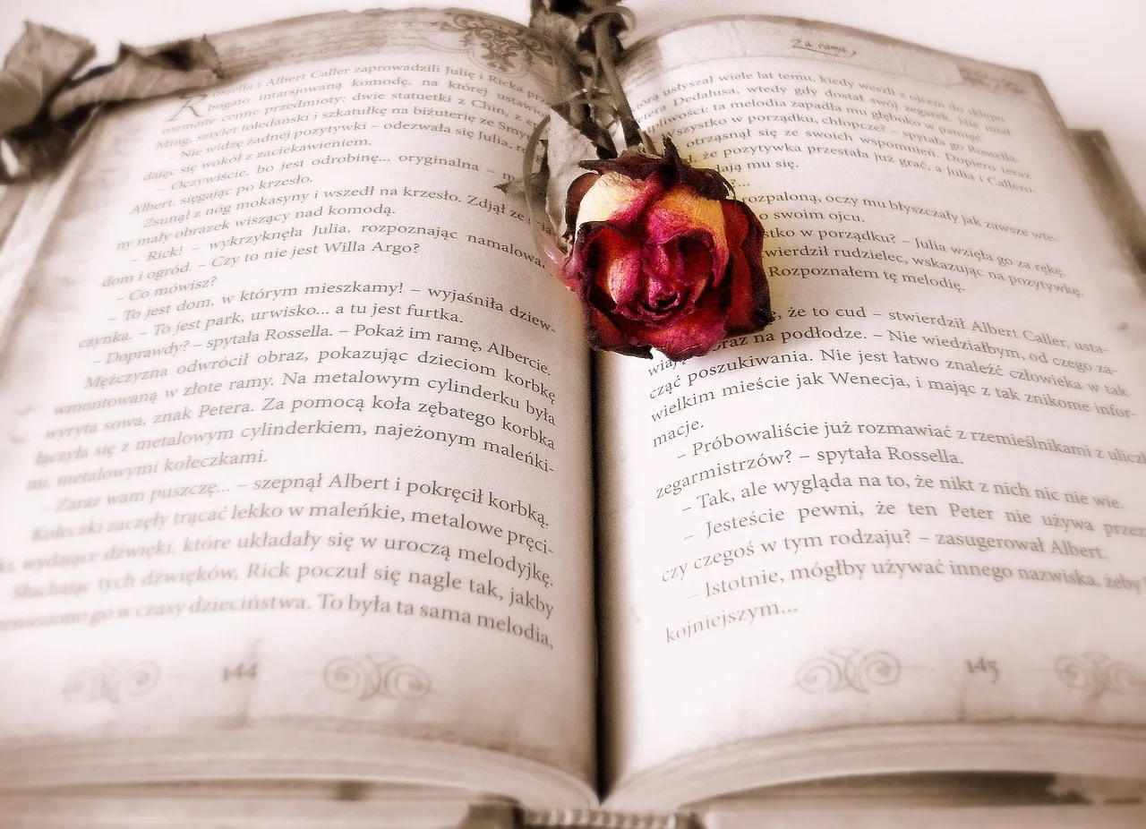 The Power of Attraction Book