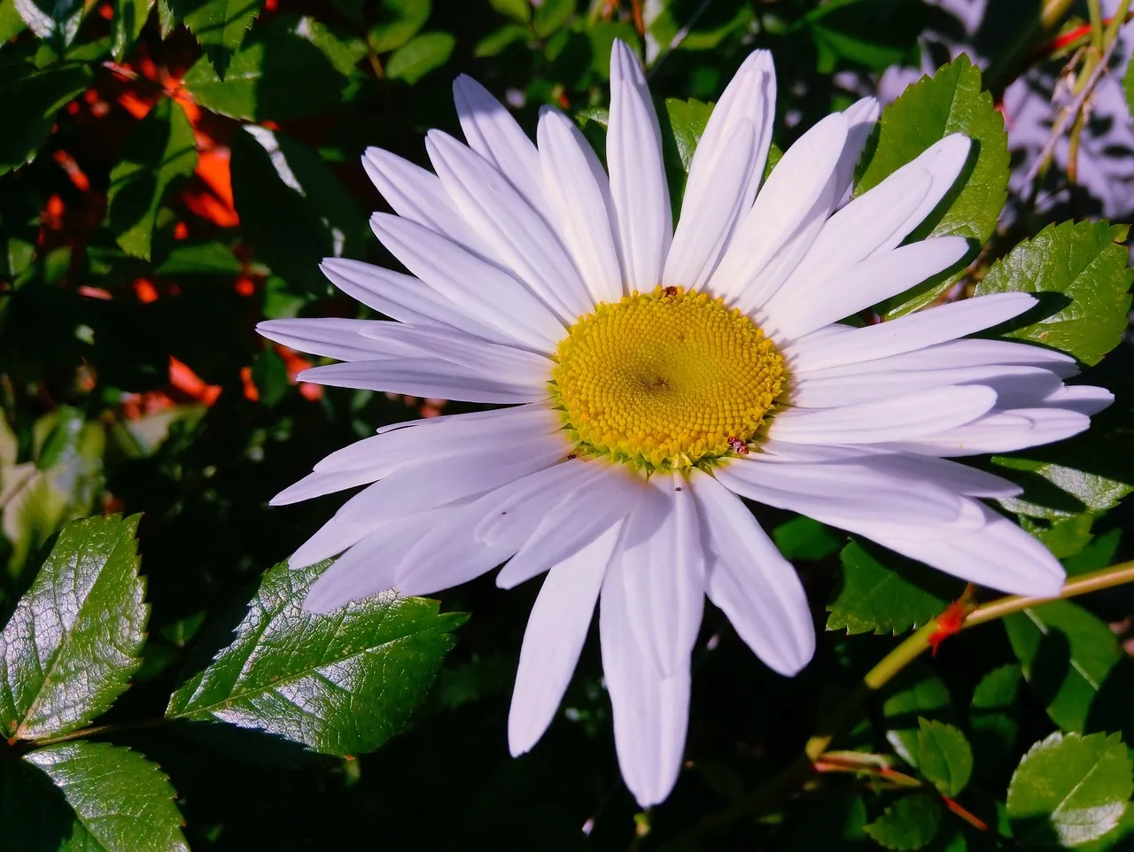 The Miracle Morning