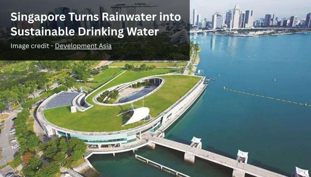Singapore Turns Rainwater into Sustainable Drinking Water