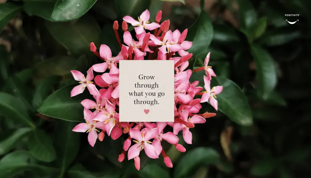 Grow Through What You Go Through