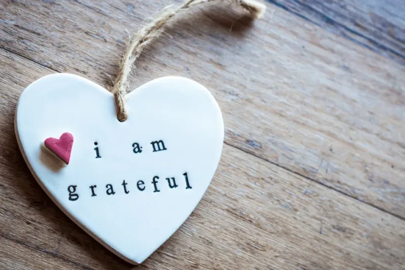 The Transformative Power of Gratitude: How Embracing Appreciation Leads to Abundance