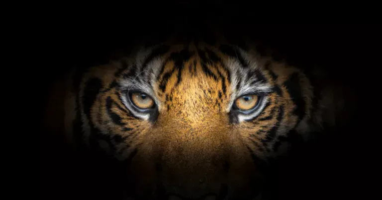 Top Motivational Quotes to Fuel Career, Personal Growth, Health, and Relationships