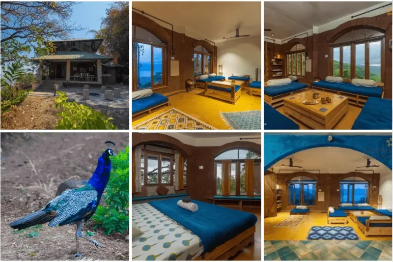 Mother-Daughter Duo Creates a Nature Lover’s Paradise!