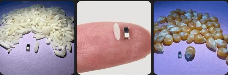 World’s Smallest Pacemaker: A Breakthrough in Pediatric Cardiac Care