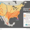 Eastern Monarch Butterfly Population Nearly Doubles!