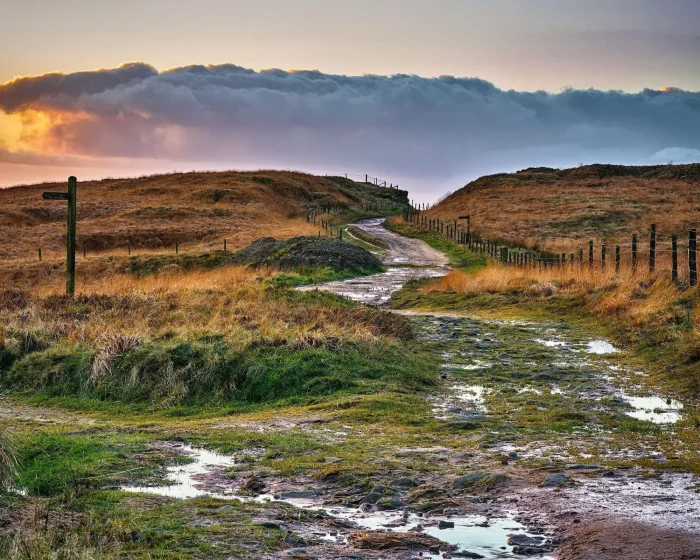 Bradford Pennine Gateway Becomes New National Nature Reserve