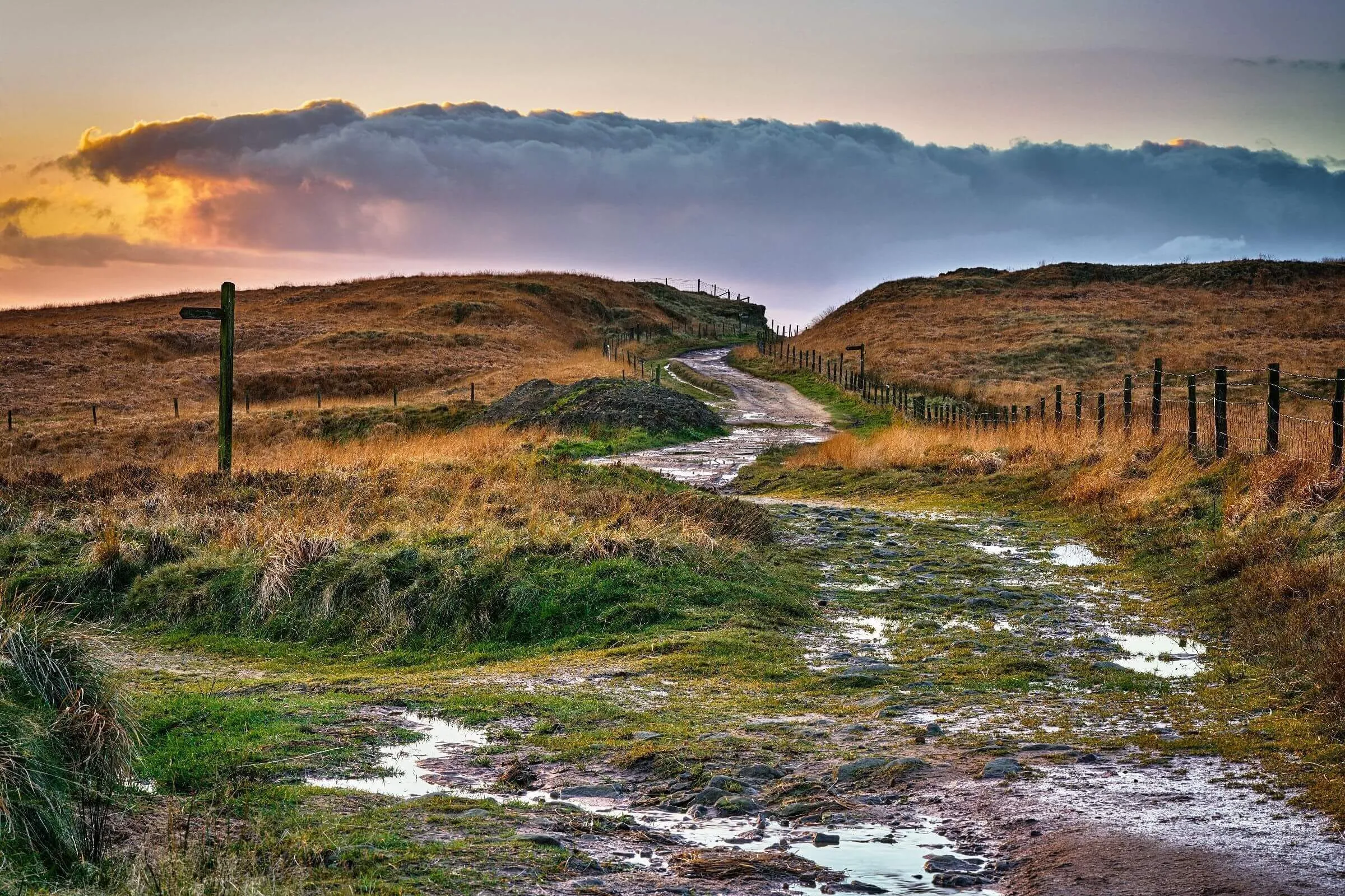 Bradford Pennine Gateway Becomes New National Nature Reserve