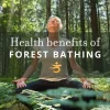 The Healing Power of Shinrin-Yoku