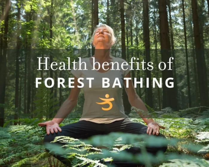 The Healing Power of Shinrin-Yoku: Reconnect with Nature for Stress Relief and Wellness