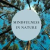 Mindfulness in Nature: Reconnect with the World Around You for Better Well-Being