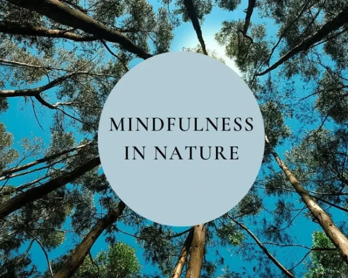 Mindfulness in Nature: Reconnect with the World Around You for Better Well-Being