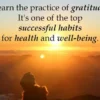 The Power of Gratitude : How Practicing Thankfulness Improves Mental and Physical Health