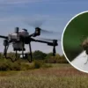 Tech for Good: Drones Fight Mosquitoes More Humanely and Affordably