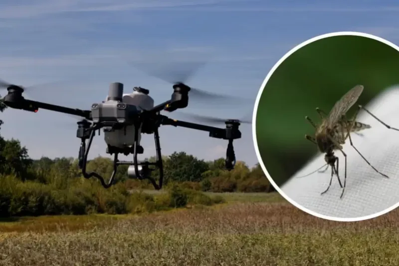Tech for Good: Drones Fight Mosquitoes More Humanely and Affordably