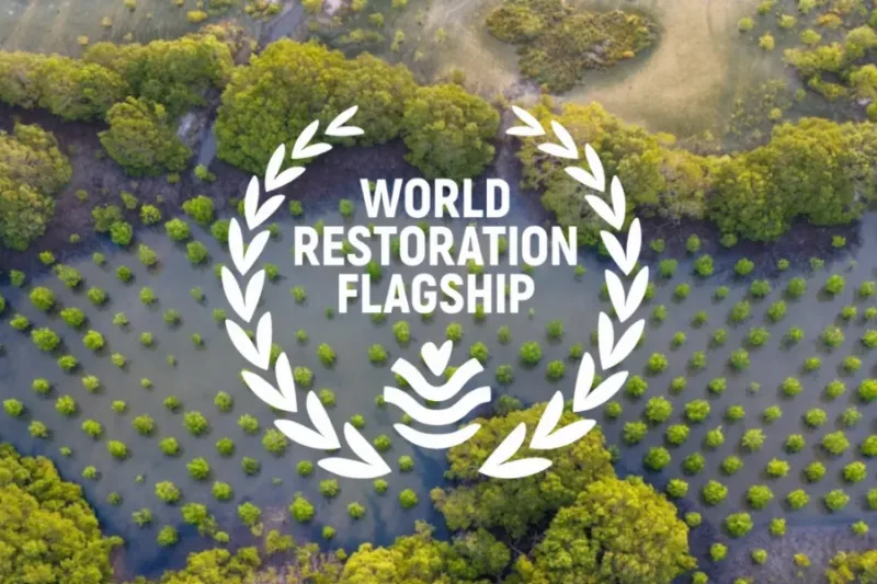 UN World Restoration Flagships: 7 Global Projects Reviving Ecosystems