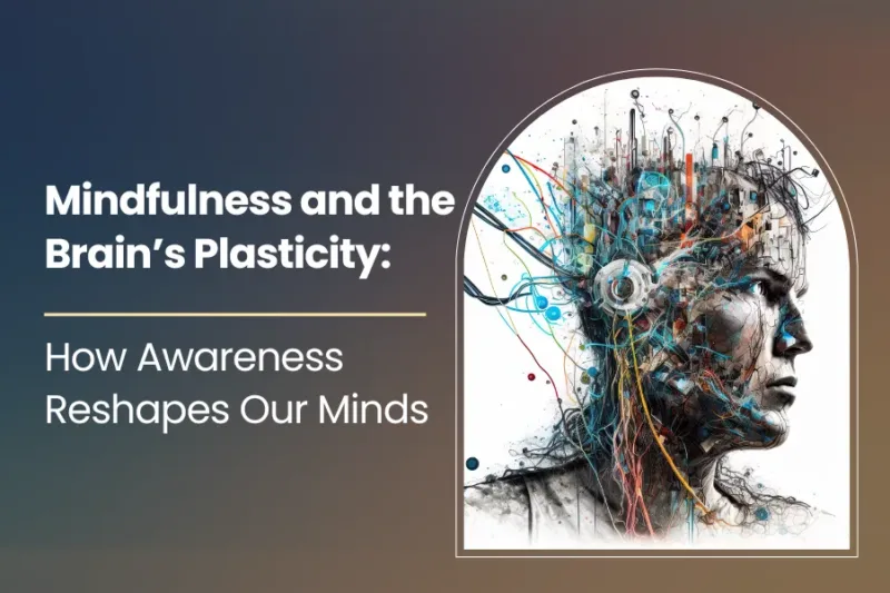Mindfulness and the Brain’s Plasticity: How Awareness Reshapes Our Minds