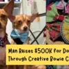 Man Raises $500K for Dog Rescue Through Creative Bowtie Campaign