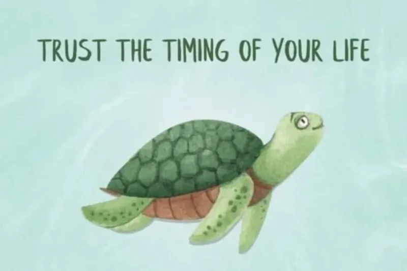 Trust the Timing of Your Life: Patience, Growth, and Life’s Rhythm