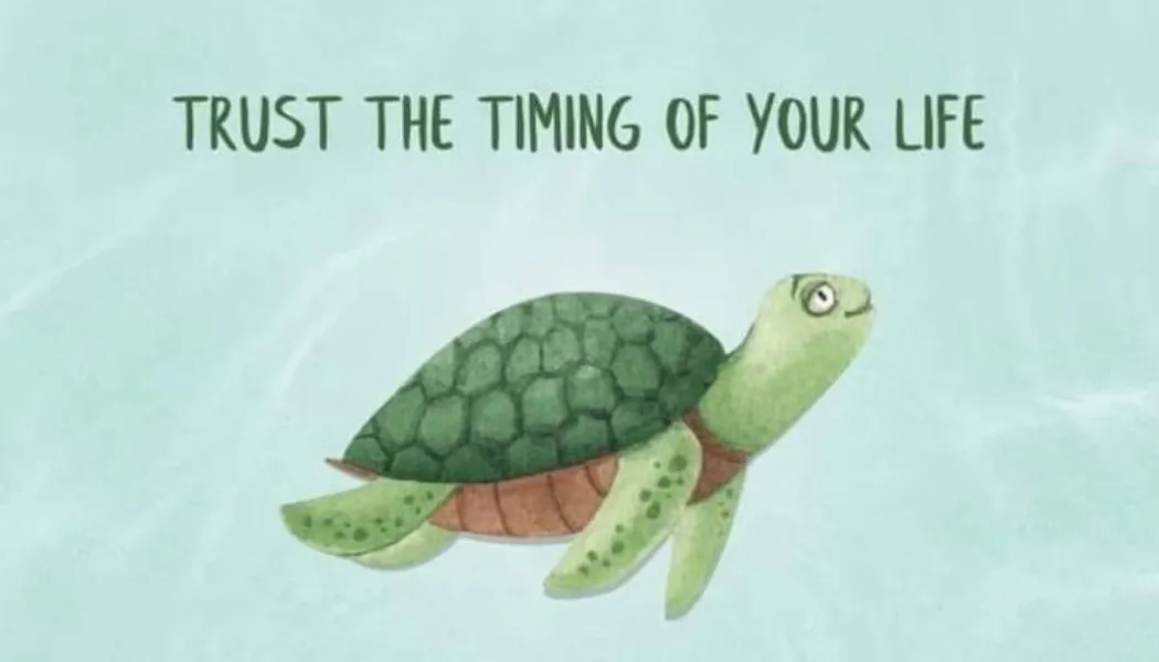 Trust the Timing of Your Life: Patience, Growth, and Life’s Rhythm