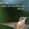 Every Day Holds the Possibility of a Miracle: Embracing Life’s Small Wonders