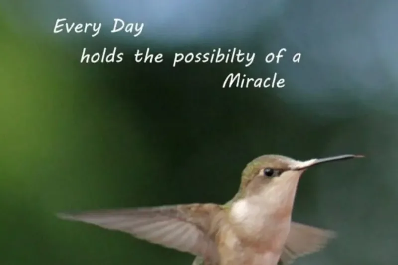 Every Day Holds the Possibility of a Miracle: Embracing Life’s Small Wonders