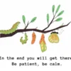 Be Patient, Be Calm: Trusting Your Journey of Becoming