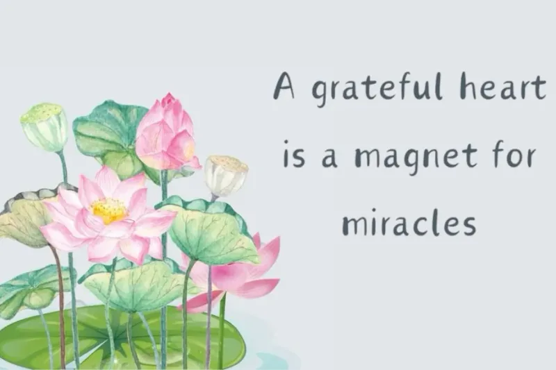 Grateful Hearts Attract Miracles: How Gratitude Transforms Life