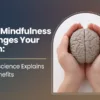 How Mindfulness Changes Your Brain: Neuroscience Explains the Benefits