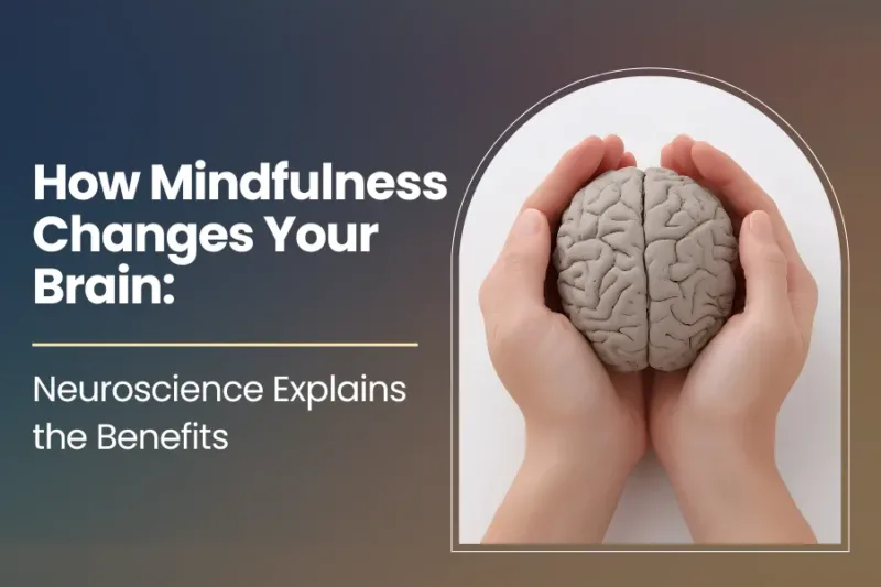 How Mindfulness Changes Your Brain: Neuroscience Explains the Benefits
