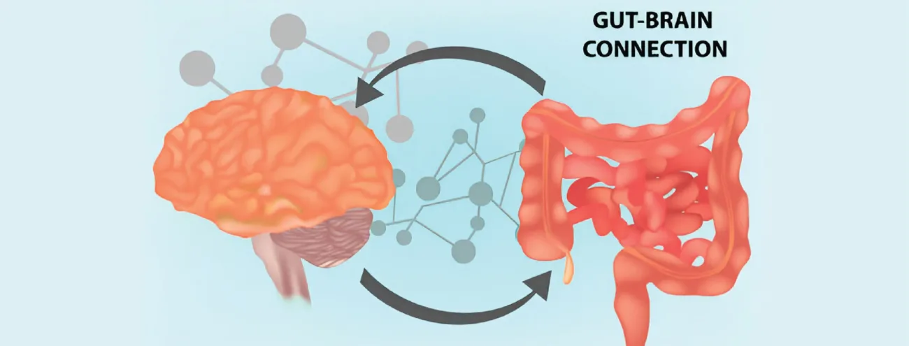 The Link Between Gut Health and Mental Health