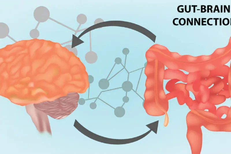 The Link Between Gut Health and Mental Health