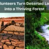 Volunteers Turn Deserted Land into a Thriving Forest: A Story of Hope and Regeneration