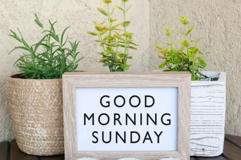 Positivity Good Morning Sunday Inspirational Quotes