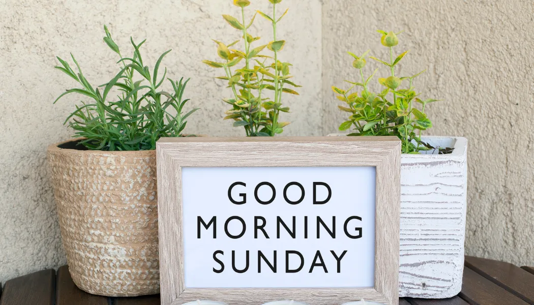 Positivity Good Morning Sunday Inspirational Quotes