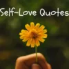 Self-Love Quotes