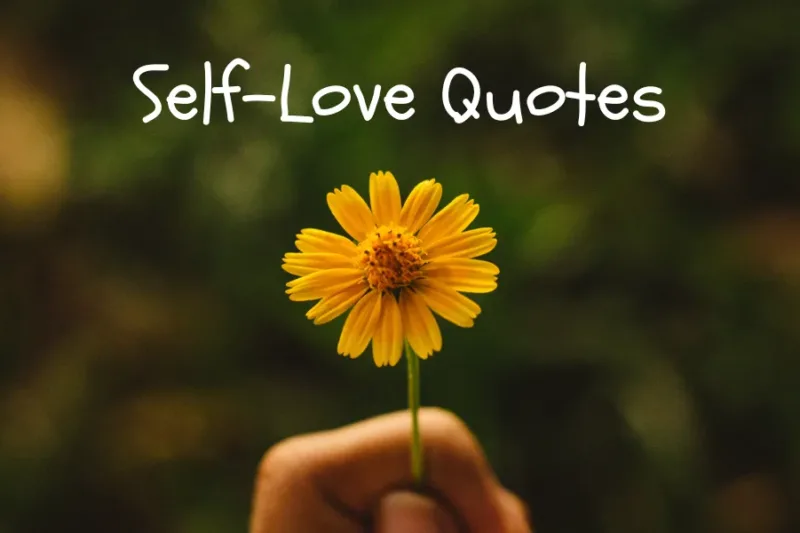 Self-Love Quotes