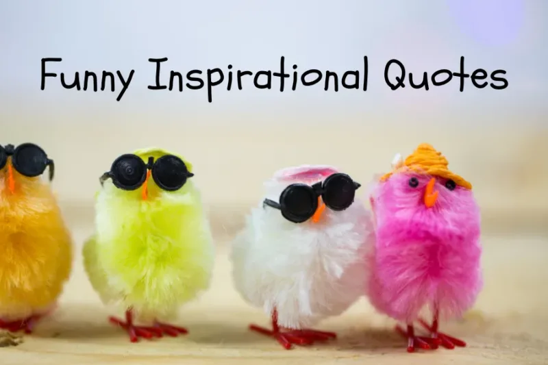 Funny Inspirational Quotes
