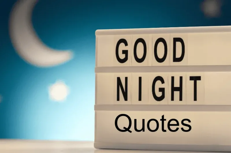 Good Night Quotes