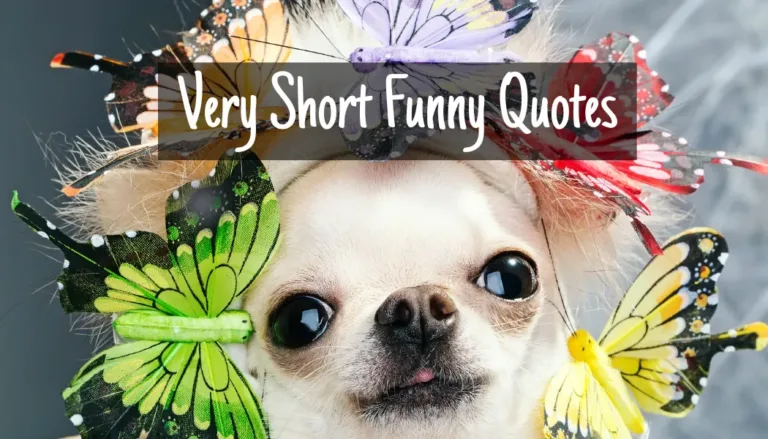 Very Short Funny Quotes