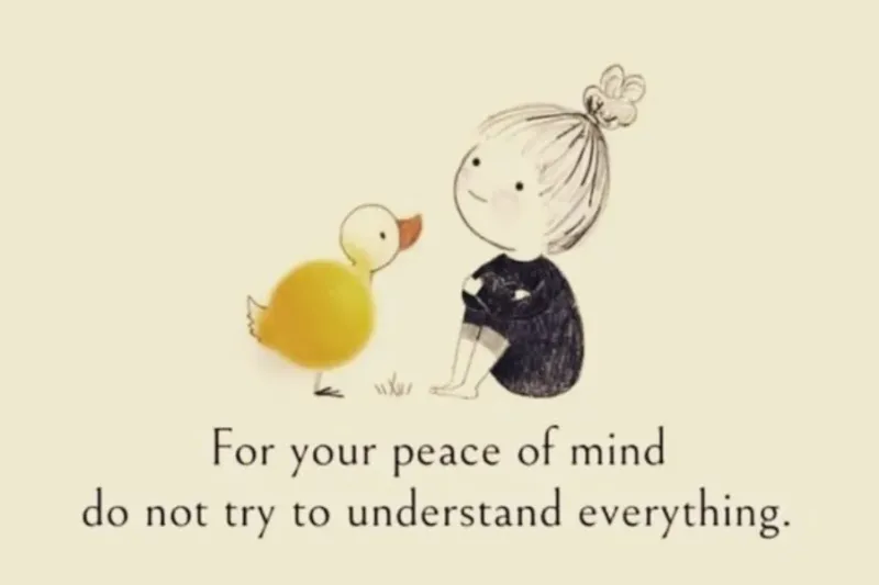 For your peace of mind, do not try to understand everything.